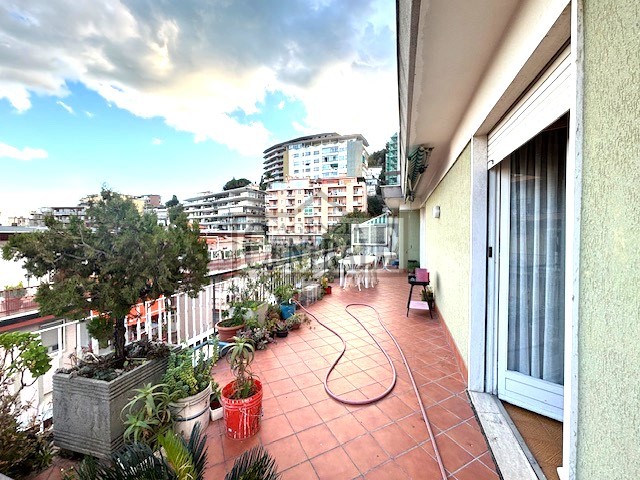 Agenzia Immobiliare Centrale Sanremo